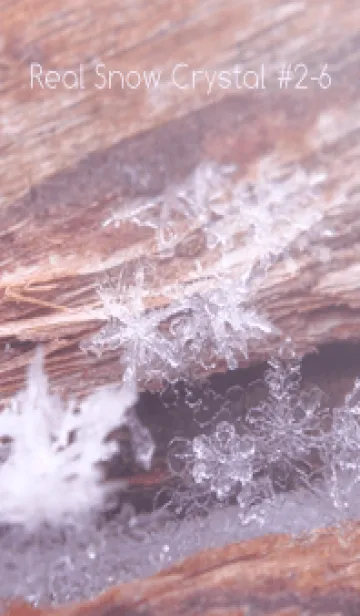 [LINE着せ替え] Real Snow Crystal #2-6の画像1