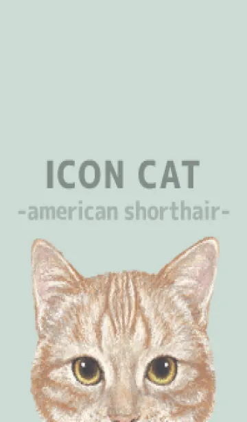 [LINE着せ替え] ICON CAT - アメショ - PASTEL GR/06の画像1