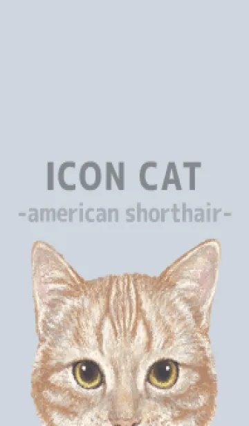 [LINE着せ替え] ICON CAT - アメショ - PASTEL BL/06の画像1