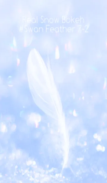 [LINE着せ替え] Real Snow Bokeh #Swan Feather 7-2の画像1