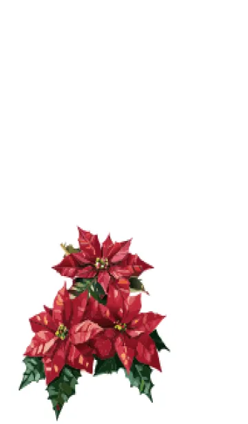 [LINE着せ替え] white 赤いポインセチアの画像1