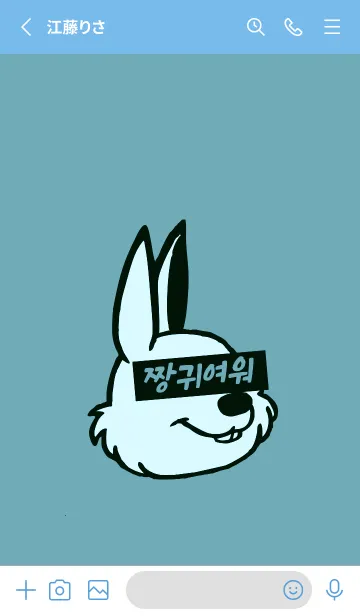 [LINE着せ替え] KOREA RABBIT THEME 114の画像2