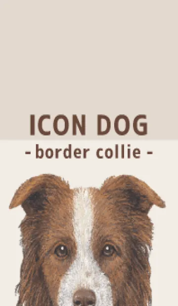 [LINE着せ替え] ICON DOG - ボーダーコリー - BROWN/06の画像1