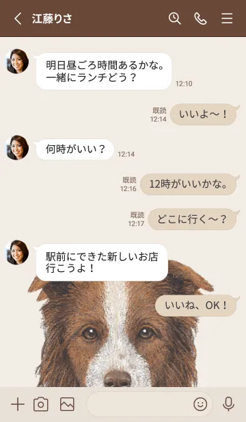 [LINE着せ替え] ICON DOG - ボーダーコリー - BROWN/06の画像3