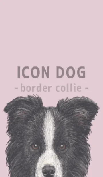 [LINE着せ替え] ICON DOG - ボーダーコリー - PASTEL PK/01の画像1