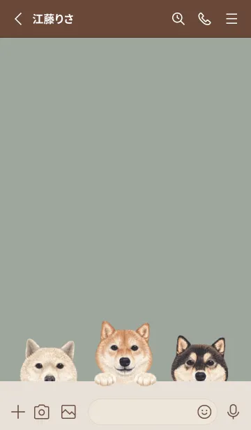 [LINE着せ替え] ワンワン！- 柴犬 - グリーングレーの画像2