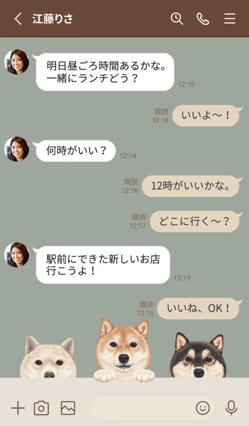 [LINE着せ替え] ワンワン！- 柴犬 - グリーングレーの画像3