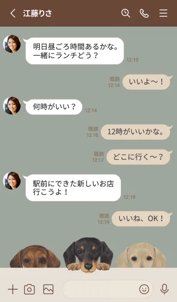 [LINE着せ替え] ワンワン-ダックスフンド-グリーングレーの画像3