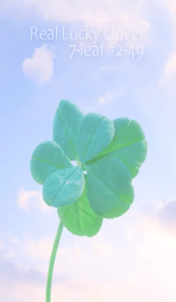 [LINE着せ替え] 本物ラッキークローバー 7-leaf #1-49の画像1