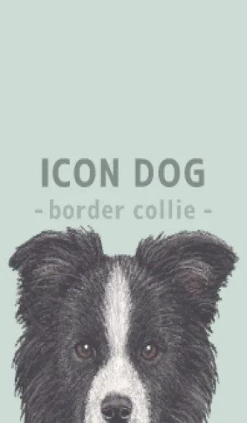 [LINE着せ替え] ICON DOG - ボーダーコリー - PASTEL GR/01の画像1
