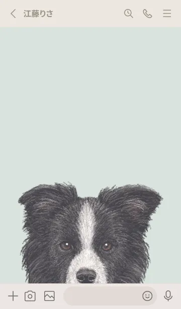 [LINE着せ替え] ICON DOG - ボーダーコリー - PASTEL GR/01の画像2
