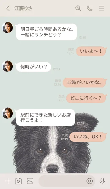 [LINE着せ替え] ICON DOG - ボーダーコリー - PASTEL GR/01の画像3