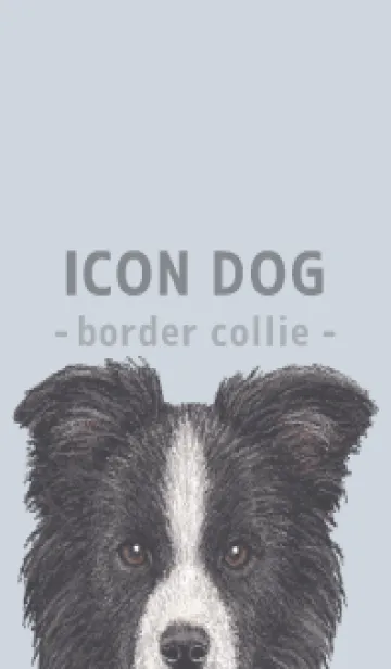 [LINE着せ替え] ICON DOG - ボーダーコリー - PASTEL BL/01の画像1