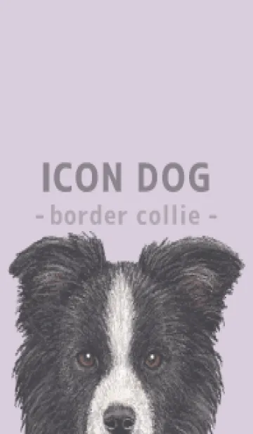 [LINE着せ替え] ICON DOG - ボーダーコリー - PASTEL PL/01の画像1