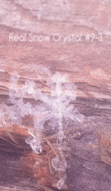 [LINE着せ替え] Real Snow Crystal #9-3の画像1