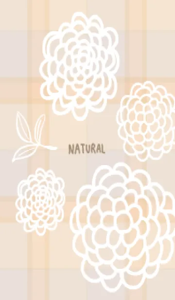 [LINE着せ替え] 白い線の丸い花と葉27の画像1