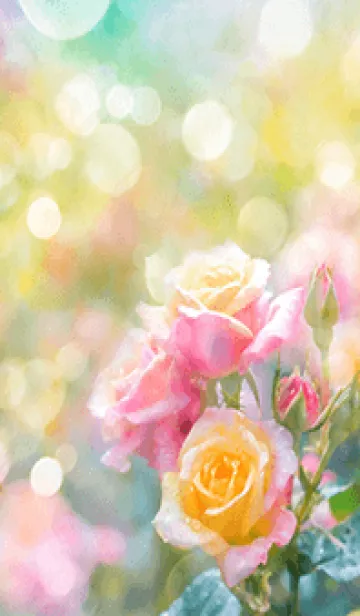 [LINE着せ替え] 薔薇(バラ)の花の着せかえ(R1385)の画像1