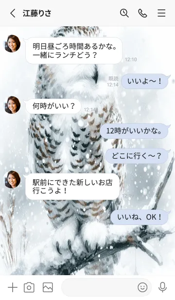 [LINE着せ替え] ナイトガーディアンシロフクロウの画像3