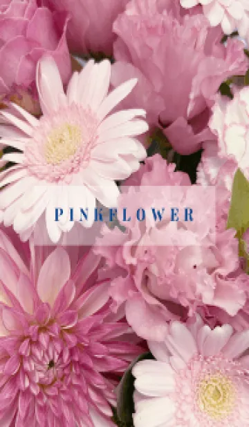 [LINE着せ替え] PINK FLOWER -NATURAL-54の画像1