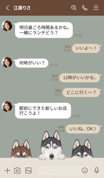 [LINE着せ替え] シベリアンハスキー - グリーングレーの画像3