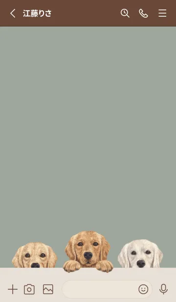 [LINE着せ替え] ゴールデンレトリバー - グリーングレーの画像2