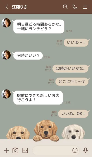 [LINE着せ替え] ゴールデンレトリバー - グリーングレーの画像3