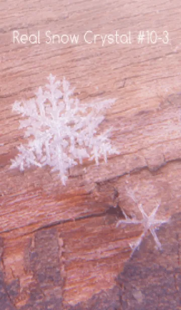 [LINE着せ替え] Real Snow Crystal #10-3の画像1