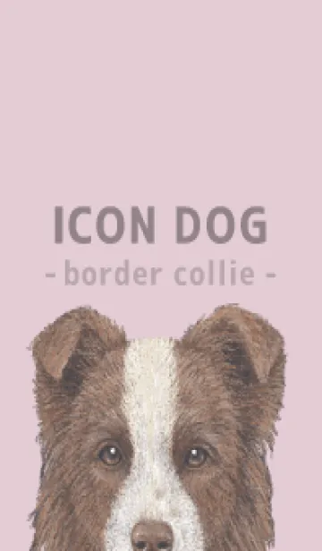 [LINE着せ替え] ICON DOG - ボーダーコリー - PASTEL PK/02の画像1