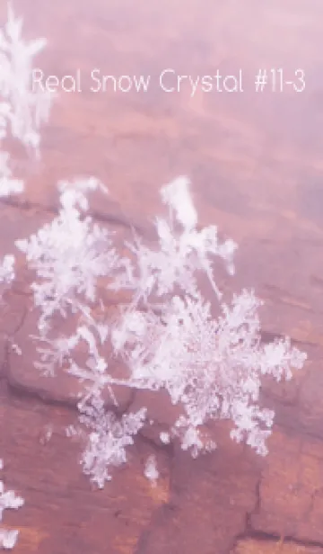 [LINE着せ替え] Real Snow Crystal #11-3の画像1