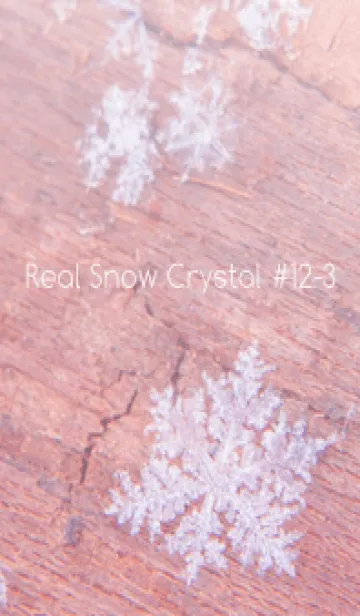 [LINE着せ替え] Real Snow Crystal #12-3の画像1