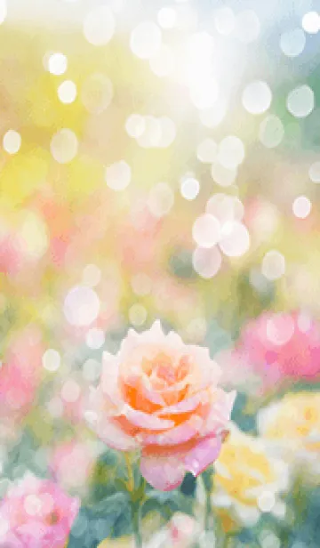 [LINE着せ替え] 薔薇(バラ)の花の着せかえ(R1409)の画像1