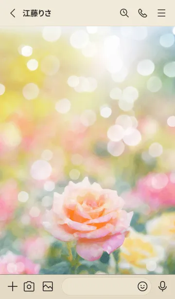 [LINE着せ替え] 薔薇(バラ)の花の着せかえ(R1409)の画像2