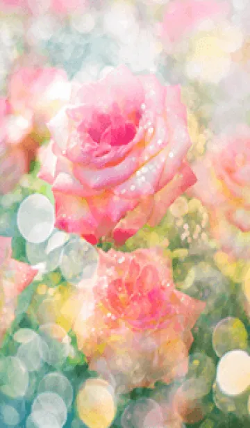 [LINE着せ替え] 薔薇(バラ)の花の着せかえ(R1414)の画像1