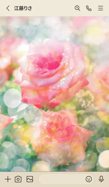 [LINE着せ替え] 薔薇(バラ)の花の着せかえ(R1414)の画像2