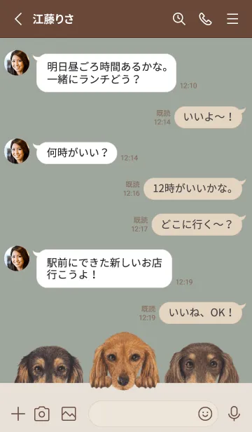 [LINE着せ替え] ダックスフンド L - グリーングレーの画像3