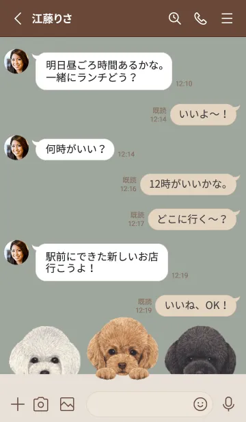 [LINE着せ替え] ワンワン！ -トイプードル- グリーングレーの画像3