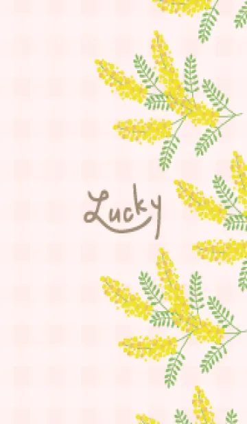 [LINE着せ替え] ミモザ 縦28の画像1