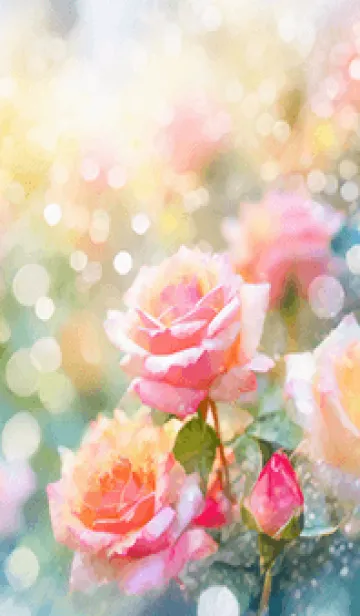 [LINE着せ替え] 薔薇(バラ)の花の着せかえ(R1438)の画像1