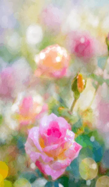 [LINE着せ替え] 薔薇(バラ)の花の着せかえ(R1442)の画像1