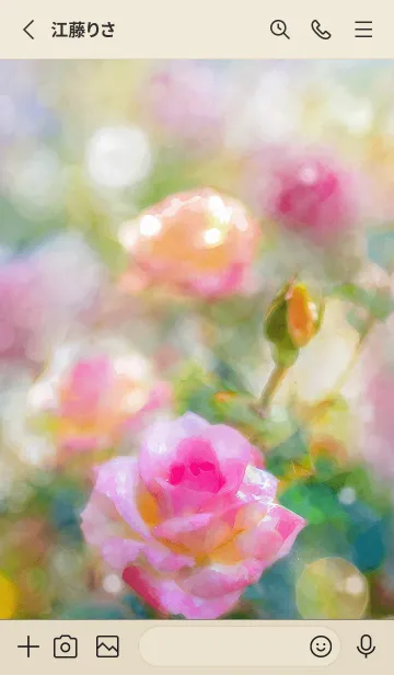 [LINE着せ替え] 薔薇(バラ)の花の着せかえ(R1442)の画像2