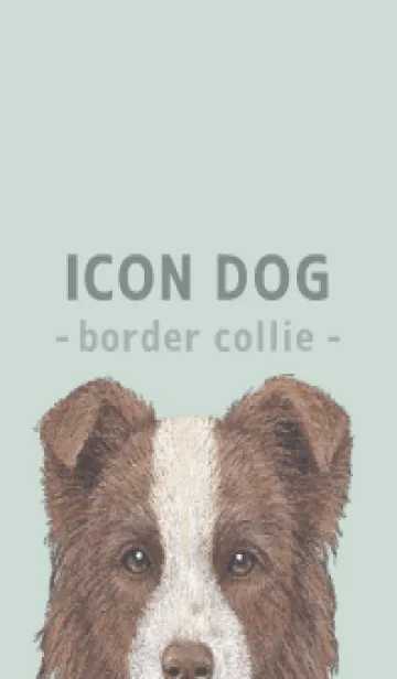 [LINE着せ替え] ICON DOG - ボーダーコリー - PASTEL GR/02の画像1