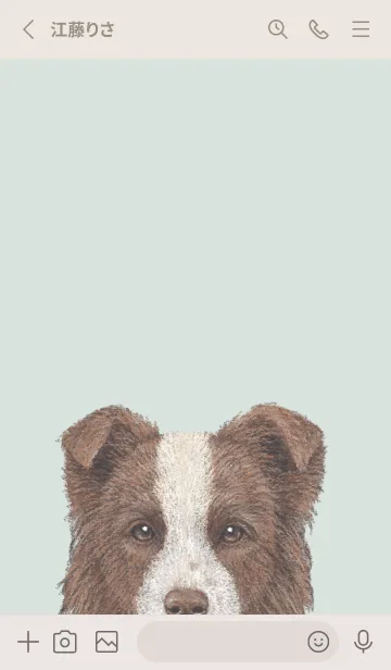 [LINE着せ替え] ICON DOG - ボーダーコリー - PASTEL GR/02の画像2