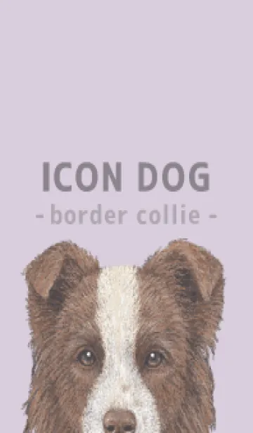 [LINE着せ替え] ICON DOG - ボーダーコリー - PASTEL PL/02の画像1