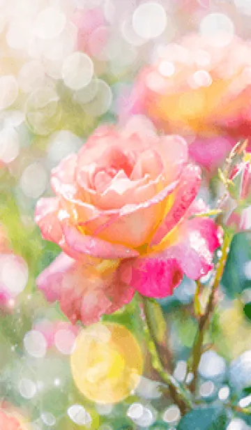 [LINE着せ替え] 薔薇(バラ)の花の着せかえ(R1459)の画像1