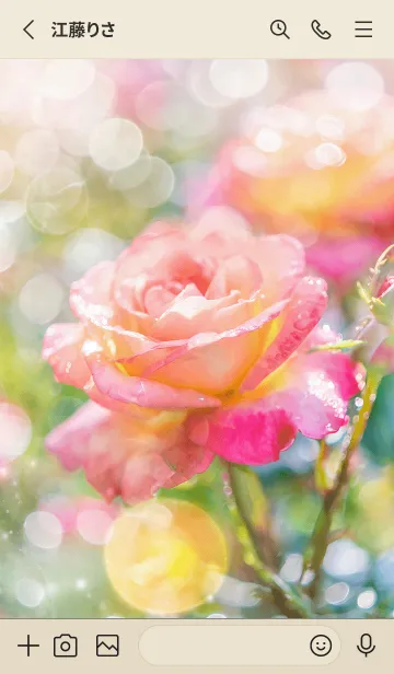 [LINE着せ替え] 薔薇(バラ)の花の着せかえ(R1459)の画像2