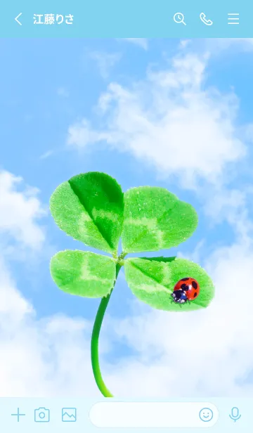 [LINE着せ替え] 本物ラッキークローバー+Ladybird #1-24の画像2