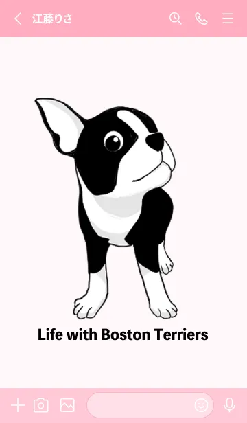 [LINE着せ替え] Life with Boston Terriersの画像2