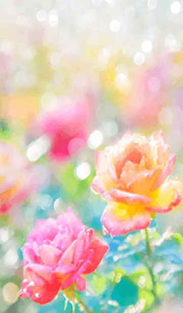 [LINE着せ替え] 薔薇(バラ)の花の着せかえ(R1464)の画像1