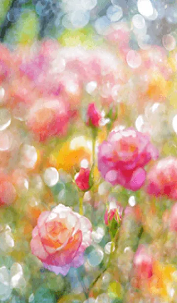 [LINE着せ替え] 薔薇(バラ)の花の着せかえ(R1465)の画像1