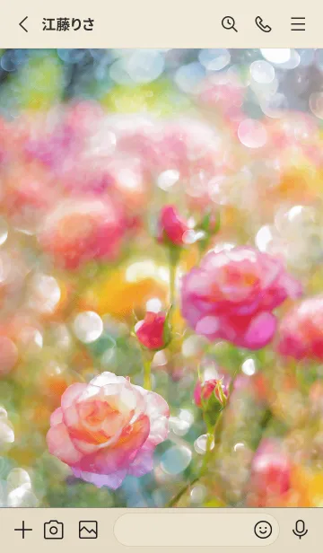 [LINE着せ替え] 薔薇(バラ)の花の着せかえ(R1465)の画像2